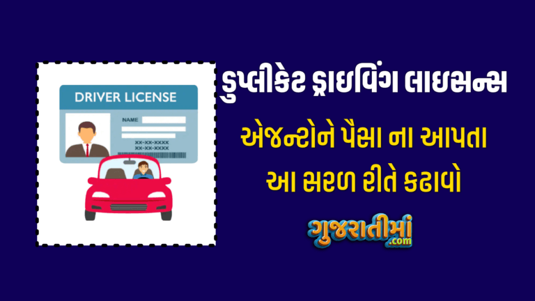 Duplicate Driving License