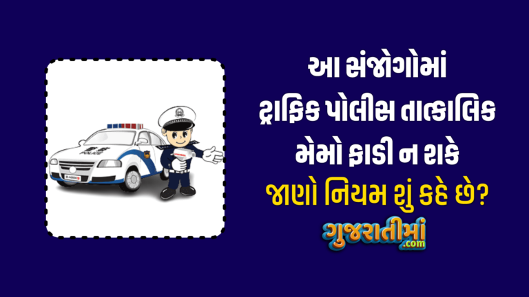 Traffic Police Rule